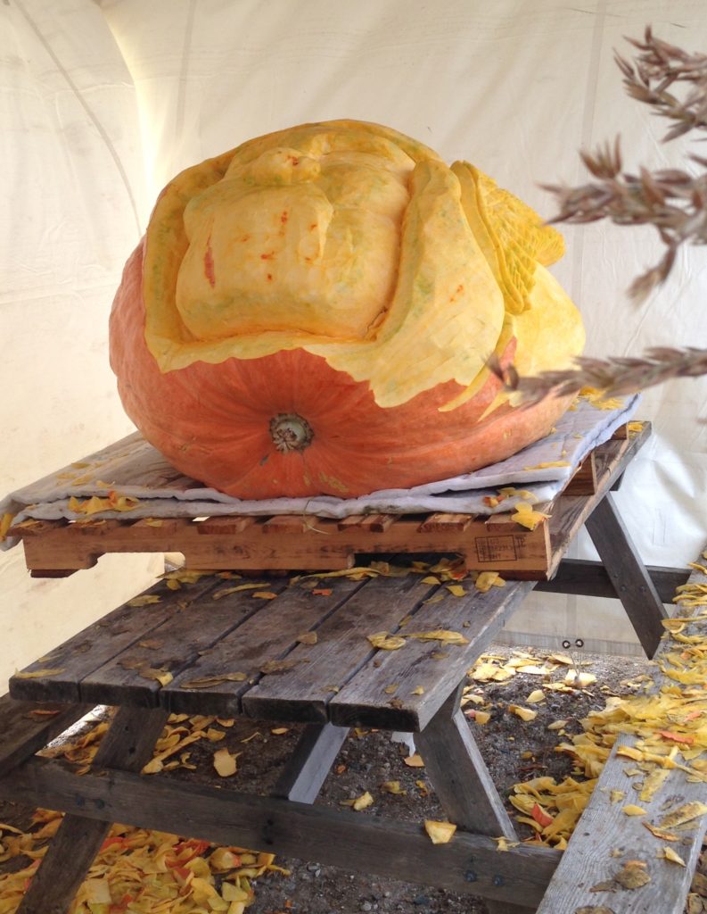 Carved pumpkin as big as a picnic table