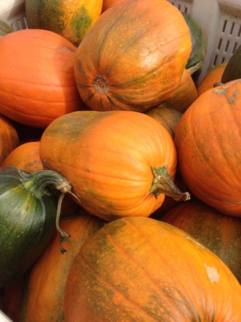 You are currently viewing What to Do at Pumpkinfest, Port Elgin, ON