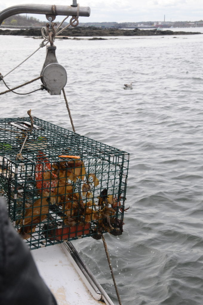 lobster cage on winch