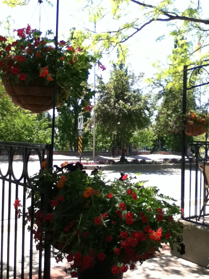 hanging baskets of flowers at Pepperwood Bistro in Burlington